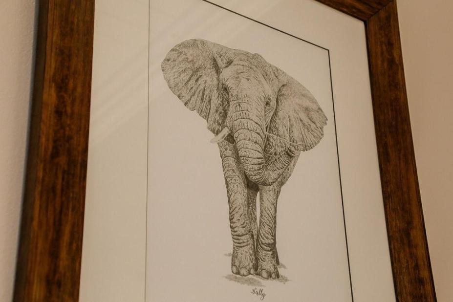 Knysna Elephant Park Lodge بليتنبيرغ باي المظهر الخارجي الصورة