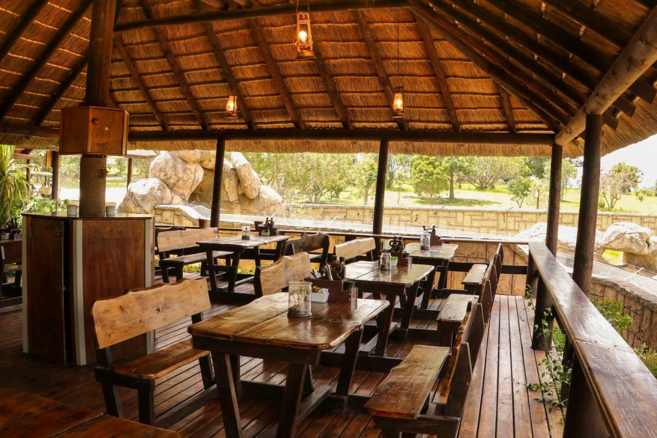 Knysna Elephant Park Lodge بليتنبيرغ باي المظهر الخارجي الصورة